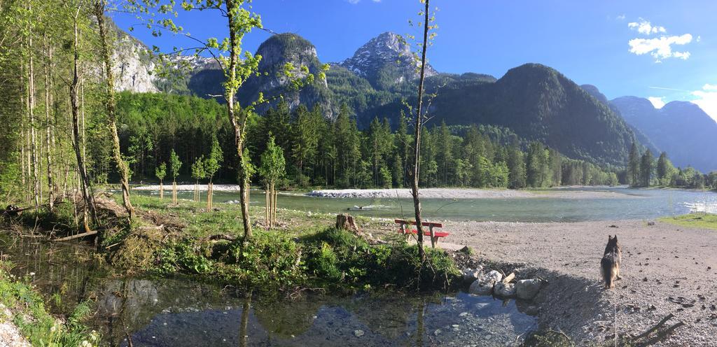 Landhaus Lilly Obertraun Dış mekan fotoğraf