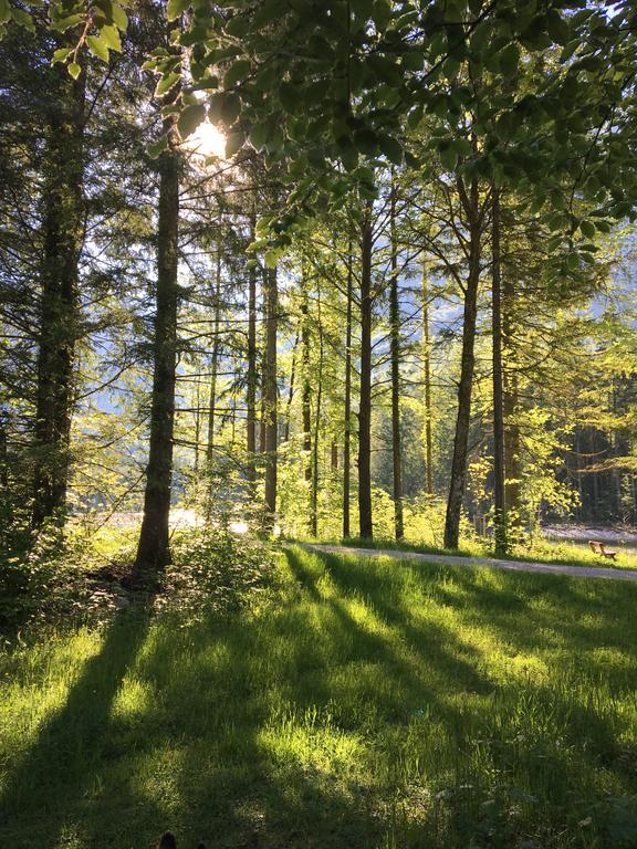 Landhaus Lilly Obertraun Dış mekan fotoğraf