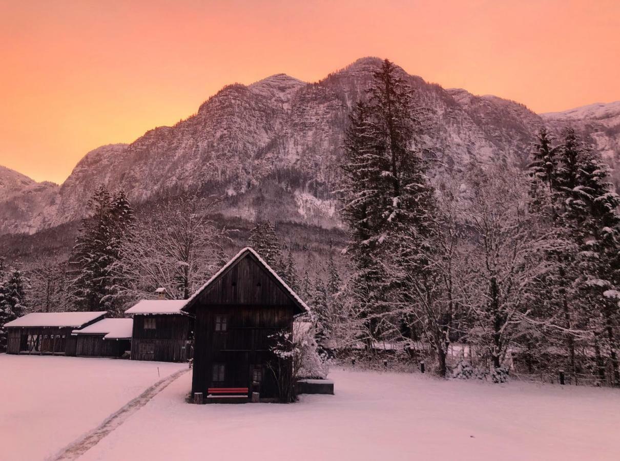 Landhaus Lilly Obertraun Dış mekan fotoğraf