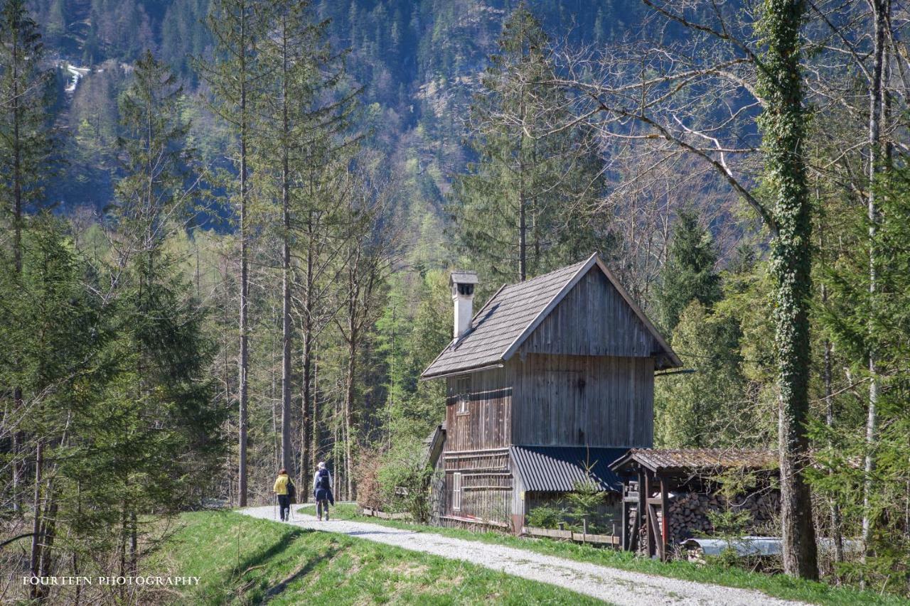 Landhaus Lilly Obertraun Dış mekan fotoğraf